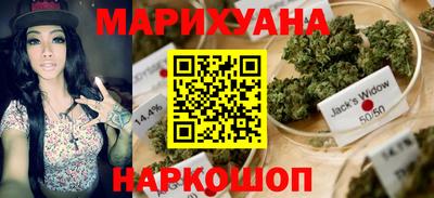 сатива Сланцы