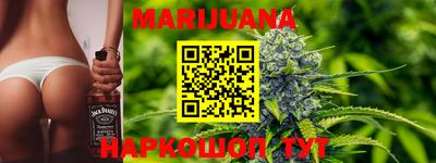 сатива Сланцы