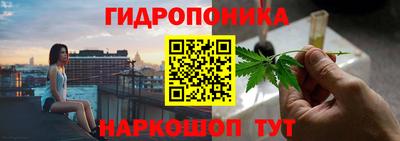 эйфоретик Свободный