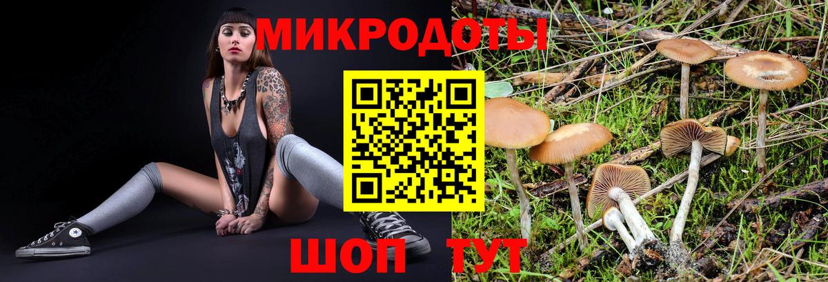 Галлюциногенные грибы мухоморы Партизанск